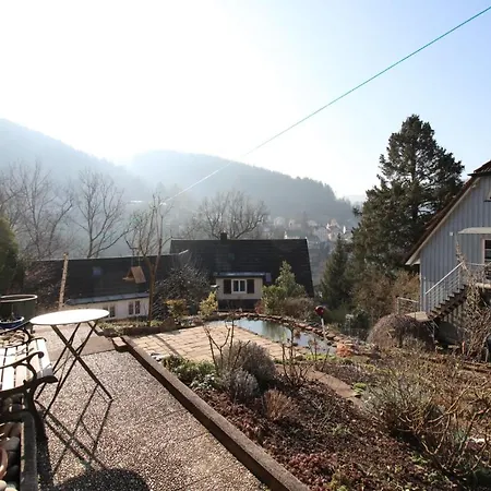 Schwarzwaldblick Apartment