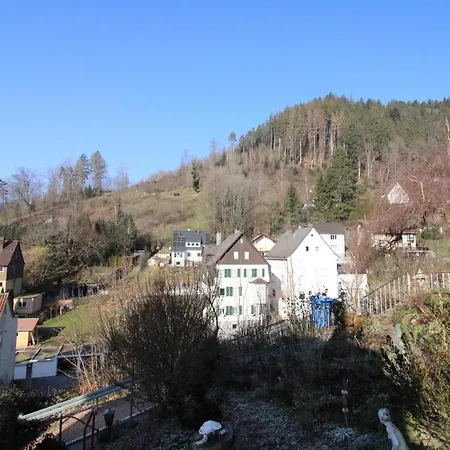 Schwarzwaldblick Apartment
